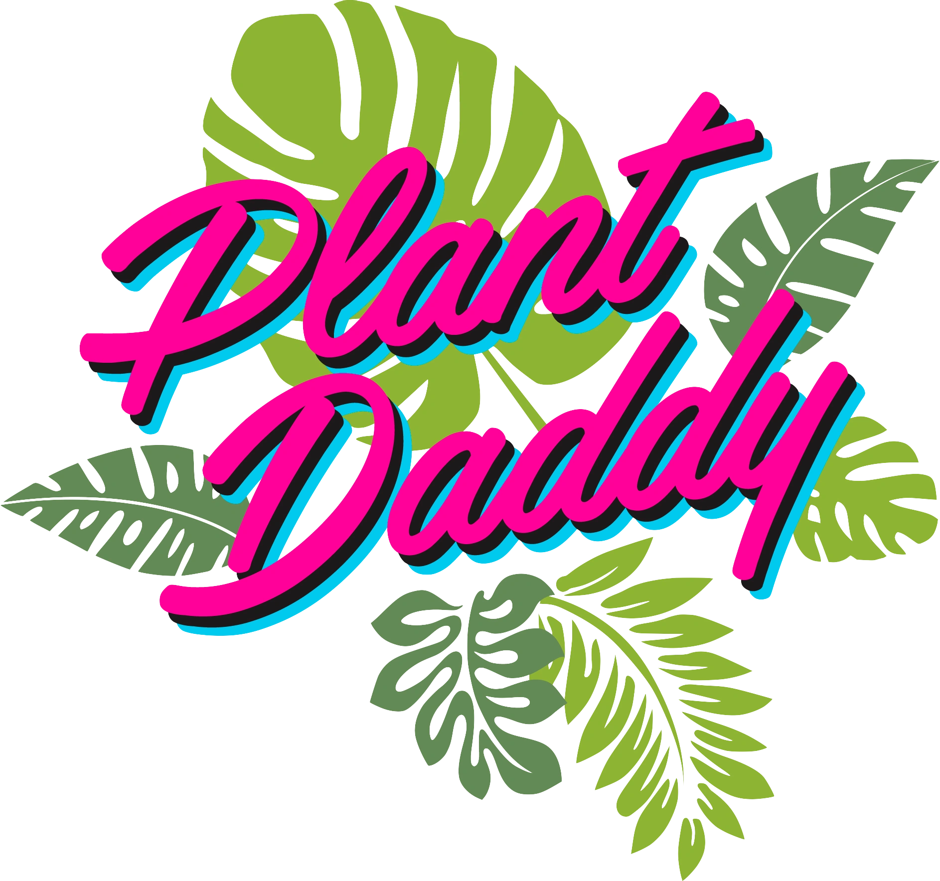Top Plant Delivery in Miami - Plant Daddy