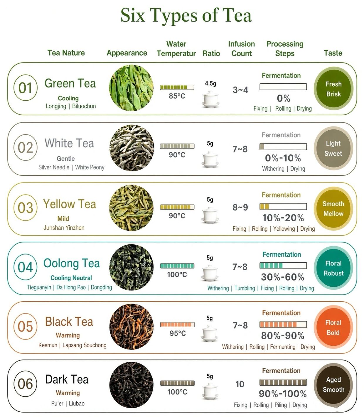 Chart showing characteristics of six types of tea including appearance, water temperature, infusion count, fermentation, and taste.