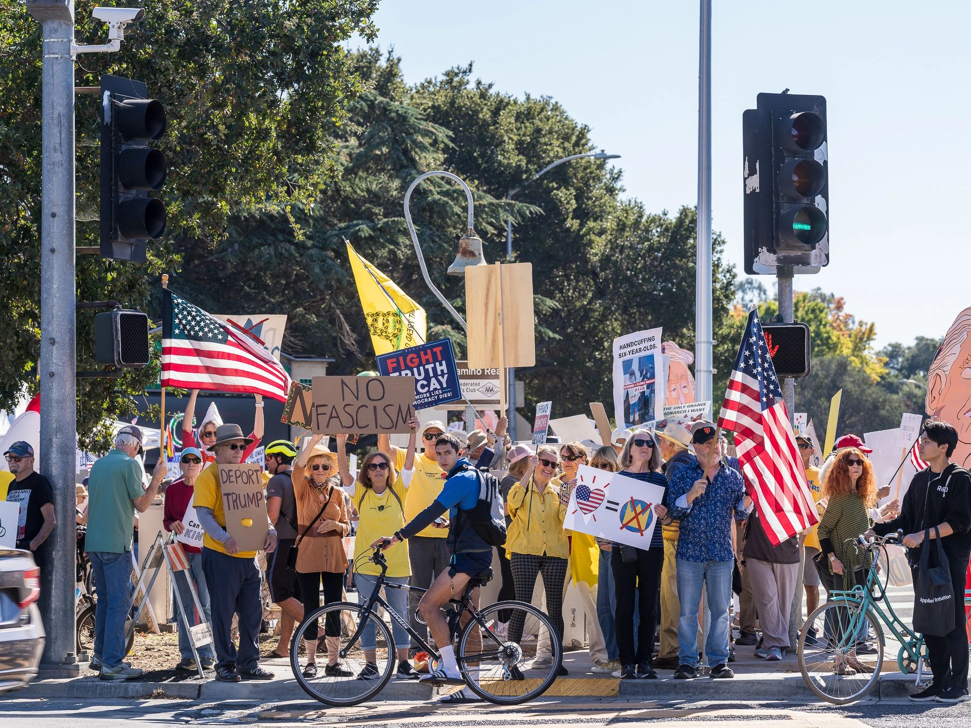 Indivisible Palo Alto Plus