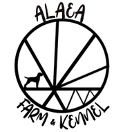 Alaea Farm & Kennel 
Vizslas