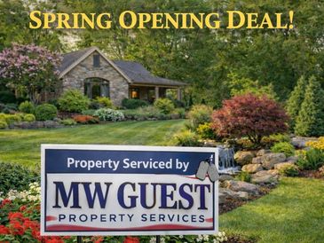 Spring Openeing Deal!