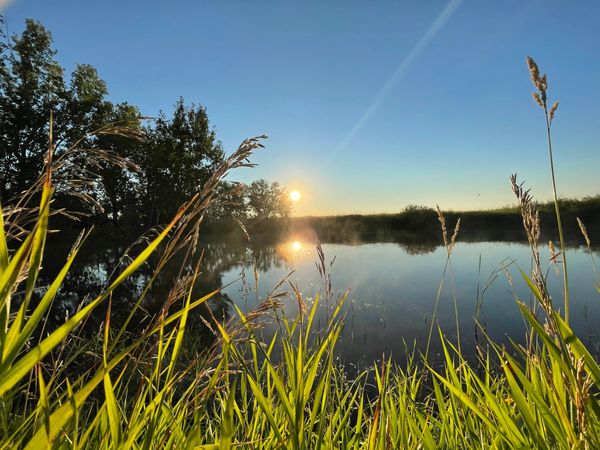Sunrise on an acreage with trees and water