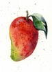 mango nuts management and consulting