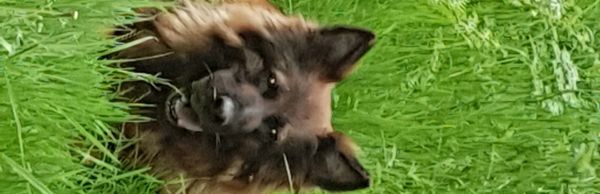 Daddy's girl, Rhea.