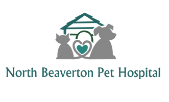 Vet Hospital Offering Urgent Care in North Beaverton