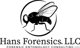 Hans Forensics, LLC