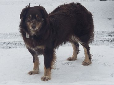 Kaya