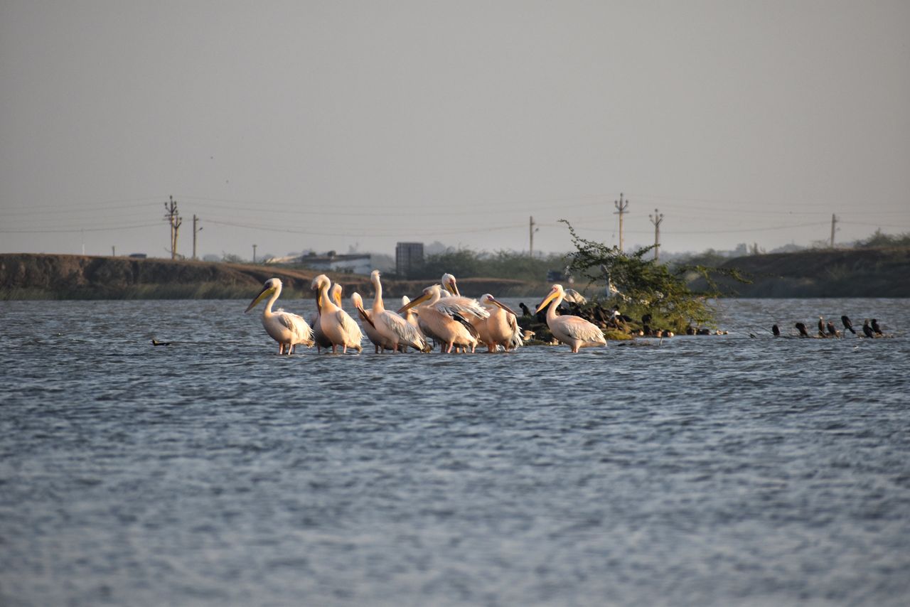 Airport Lake Bhavnagar