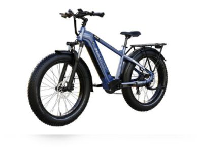 Modern blue electric fat-tire bicycle with rear rack and front suspension.