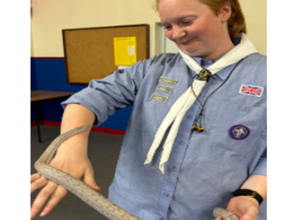 Beaver group snake handling session