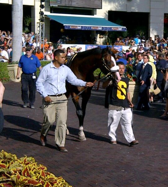 Prominent Sire Lines - prominentsirelines.com