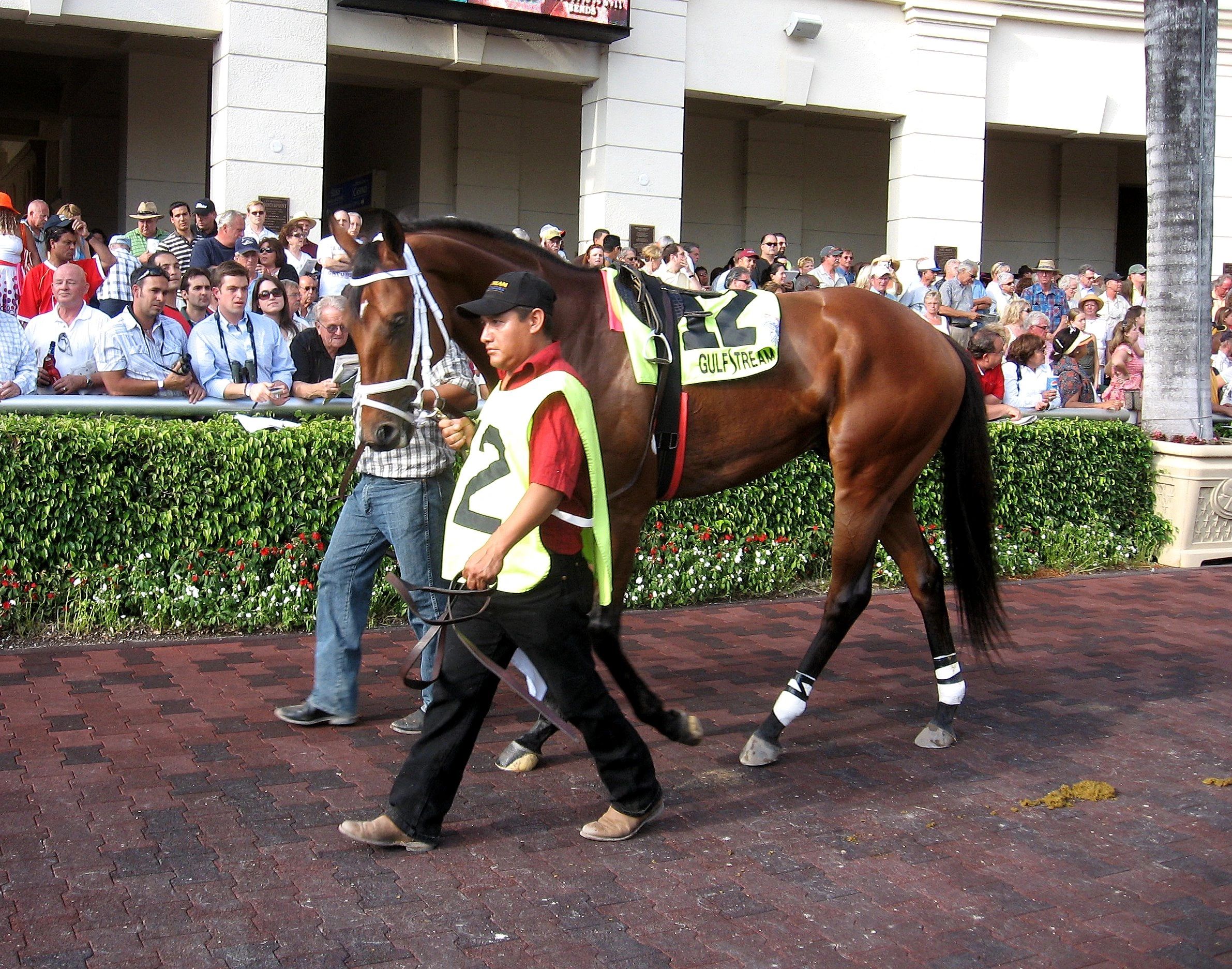 Prominent Sire Lines - prominentsirelines.com