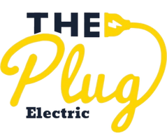 the plug