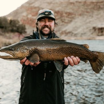 fly fishing and catching brown trout on the river