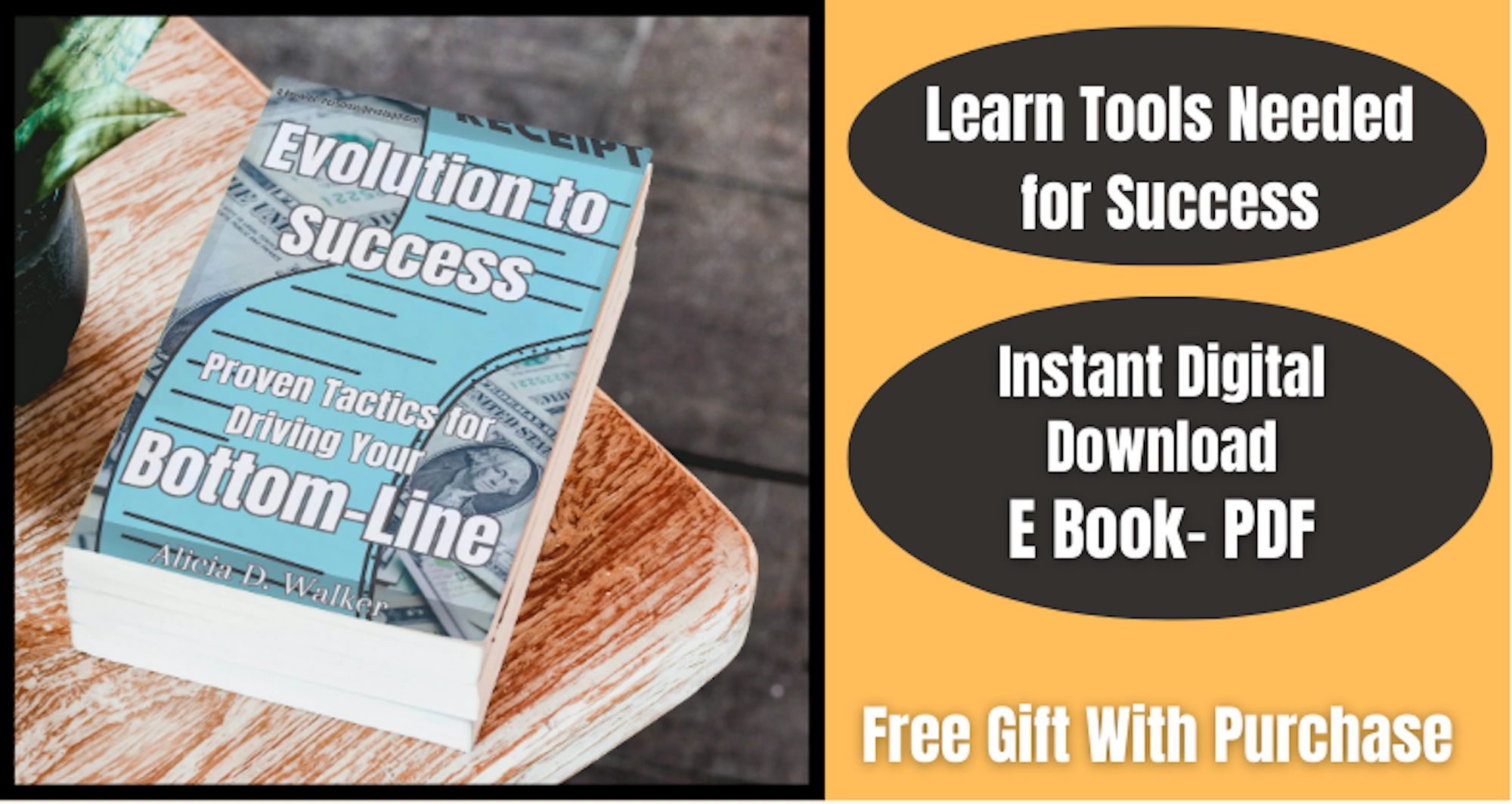 Shop Evolution to Success e book button