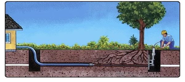 Illustration of underground pipe installation near tree roots.