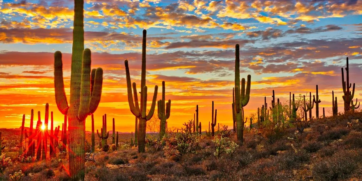 Apex Underground Az llc.