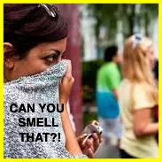 CAN YOU SMELL THAT?!