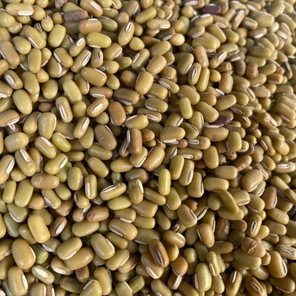 Close-up of dry mung beans with a greenish-brown hue.