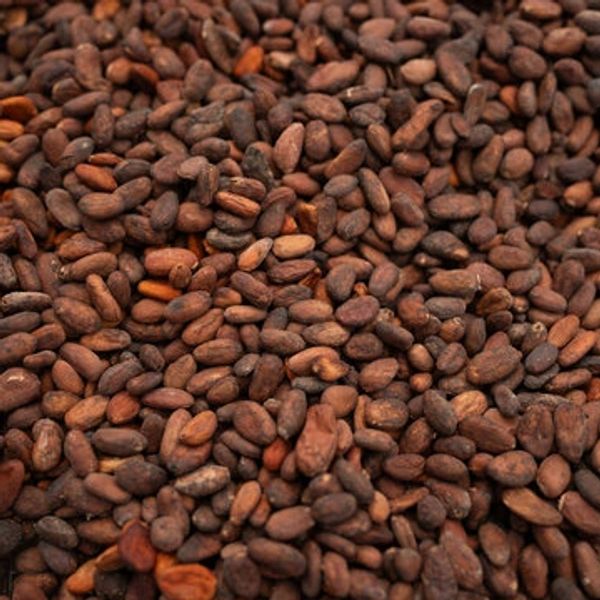 Close-up of dried cocoa beans spread out.