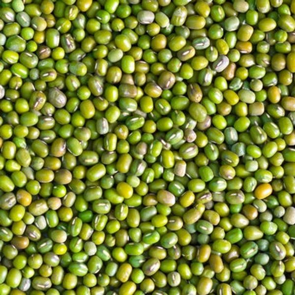 Close-up of green mung beans scattered uniformly.