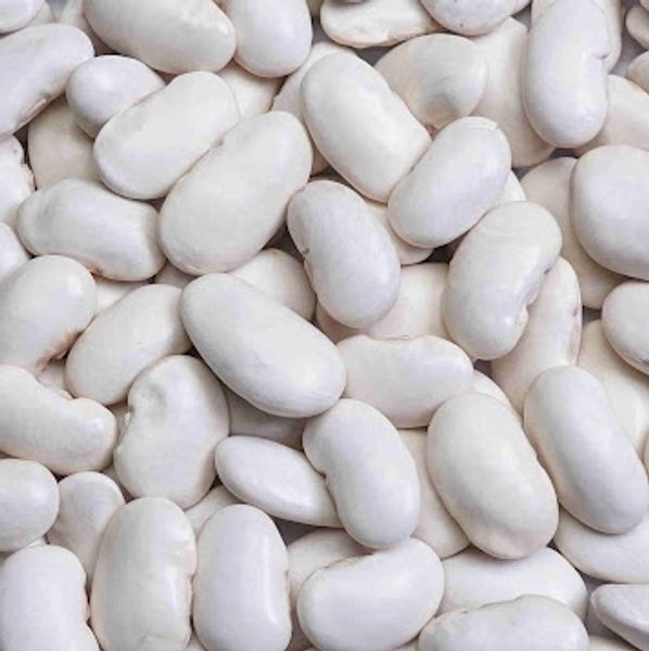 Close-up of white kidney beans filling the frame.