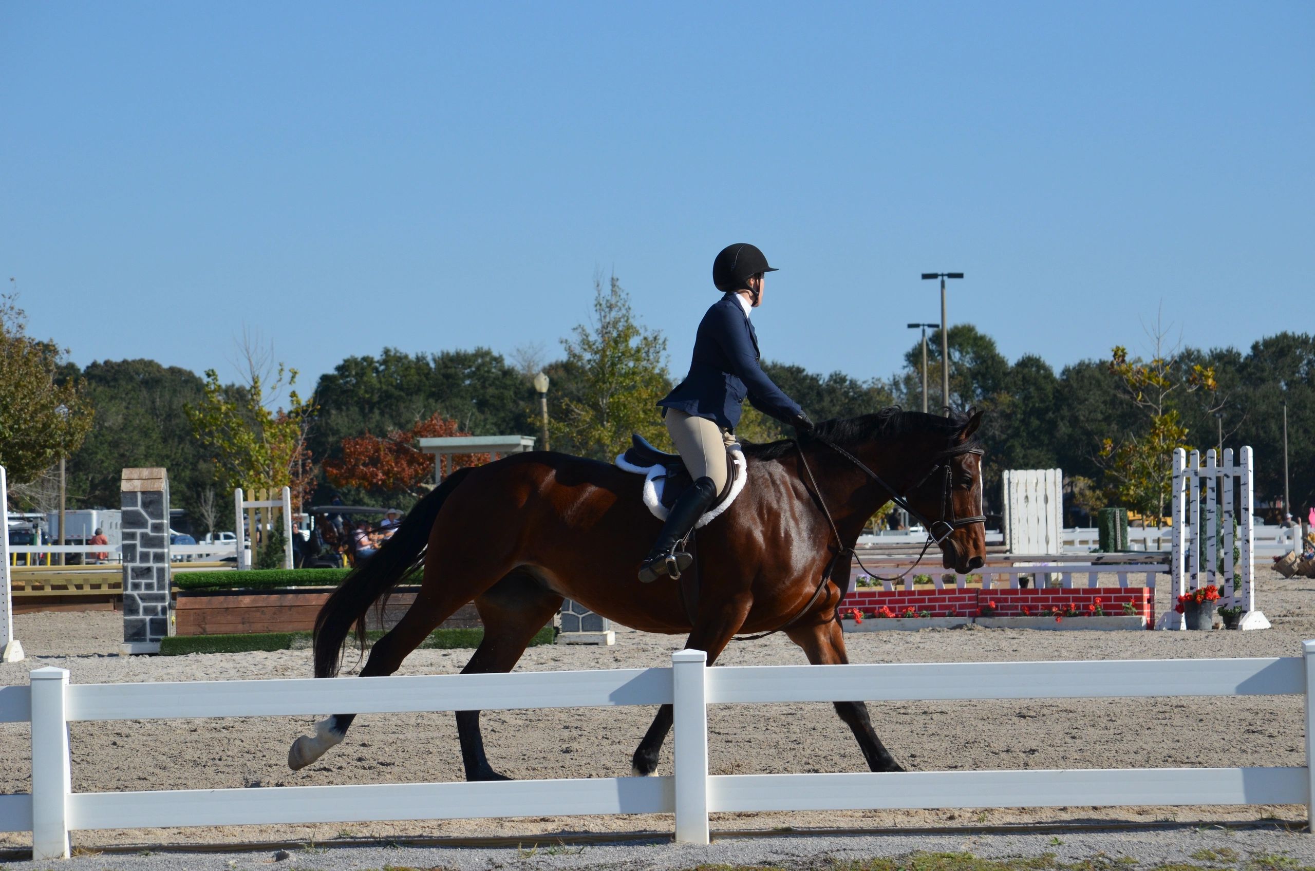 Premier English Riding Stable