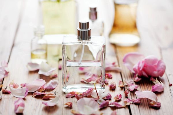 perfume bottles surrounded by flower petals