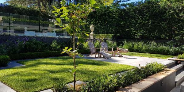 Sunny backyard with green lawn, chairs, and a small tree.