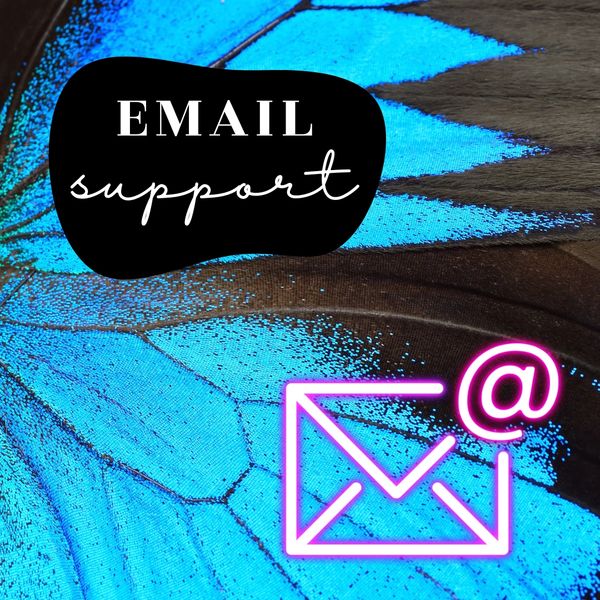 Butterfly wing with the text 'Email Support' showcasing newsletter and campaign services