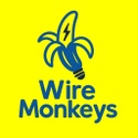 Wire Monkeys