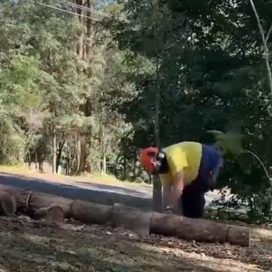 Boundary clearing 