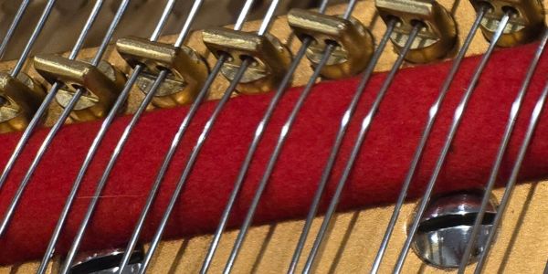 Close-up of piano strings and dampers inside the instrument.