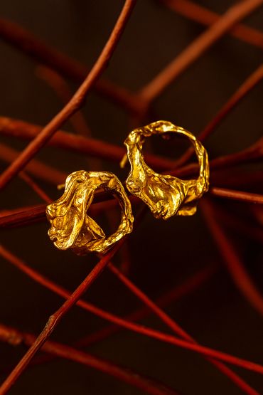 Close-up of two textured gold rings on red branches.