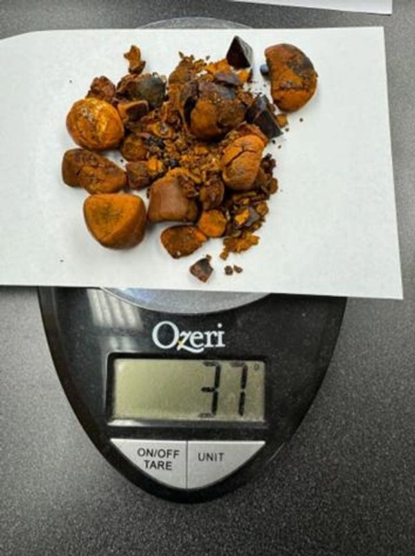 Grade A Dry Broken Bovine Gallstones and Grade A Whole Bovine Gallstones