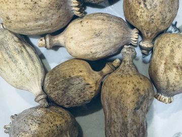 1-day delivery local