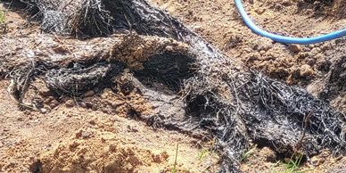 A septic line being cleaned in Michiana.