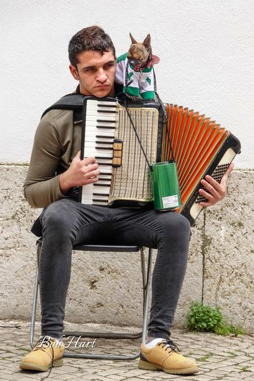 Blind Accordionist in Lisbon