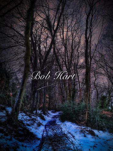 A snowy forest path under a twilight sky with the name Bob Hart.
