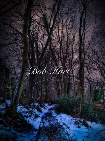 A snowy forest path under a twilight sky with the name Bob Hart.