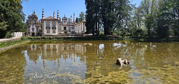 Historic building reflected in a pond with a dog swimming.