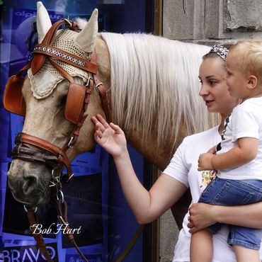 Mother and Baby admiring trap Horse in Harness