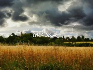 Stormy clouds gather over a golden wheat field with distant trees and buildings.