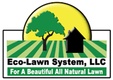 Eco-Lawn System