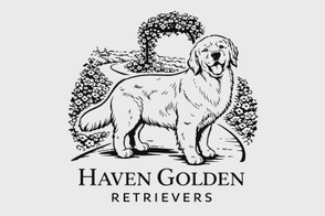 Haven Golden Retrievers
Myrtle MO