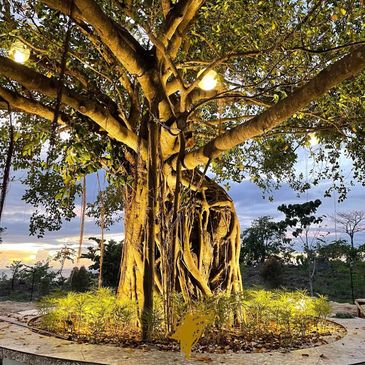 Enjoy intimate dinners with a view of the sea at Piazza Balete