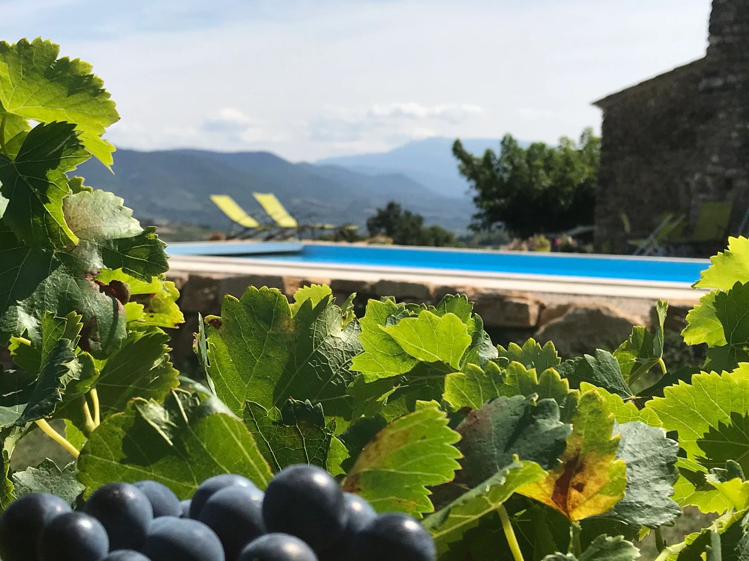 Stunning Provencal scenary surrounds the private pool