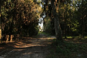 atv trail