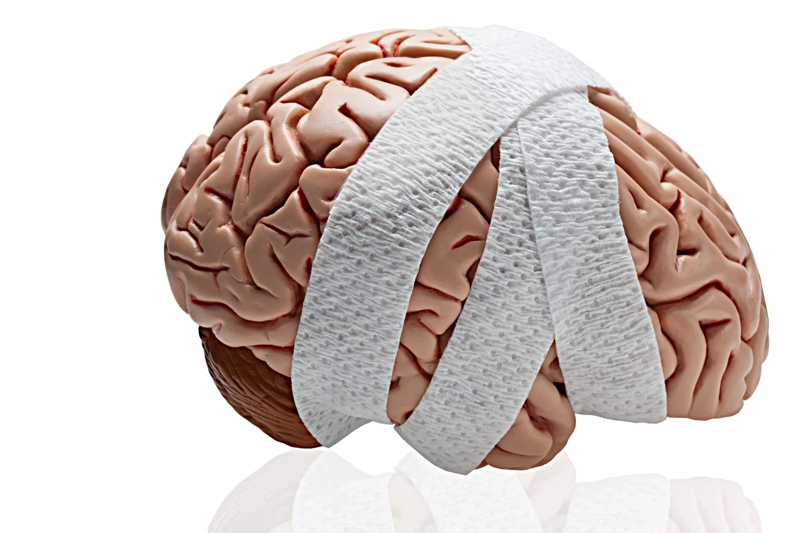 Model brain wrapped with medical bandages symbolizing brain injury or protection.