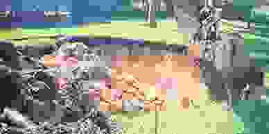 Martin Pools & Spas - Swimming Pools, Spas | Martin Pools & Spas